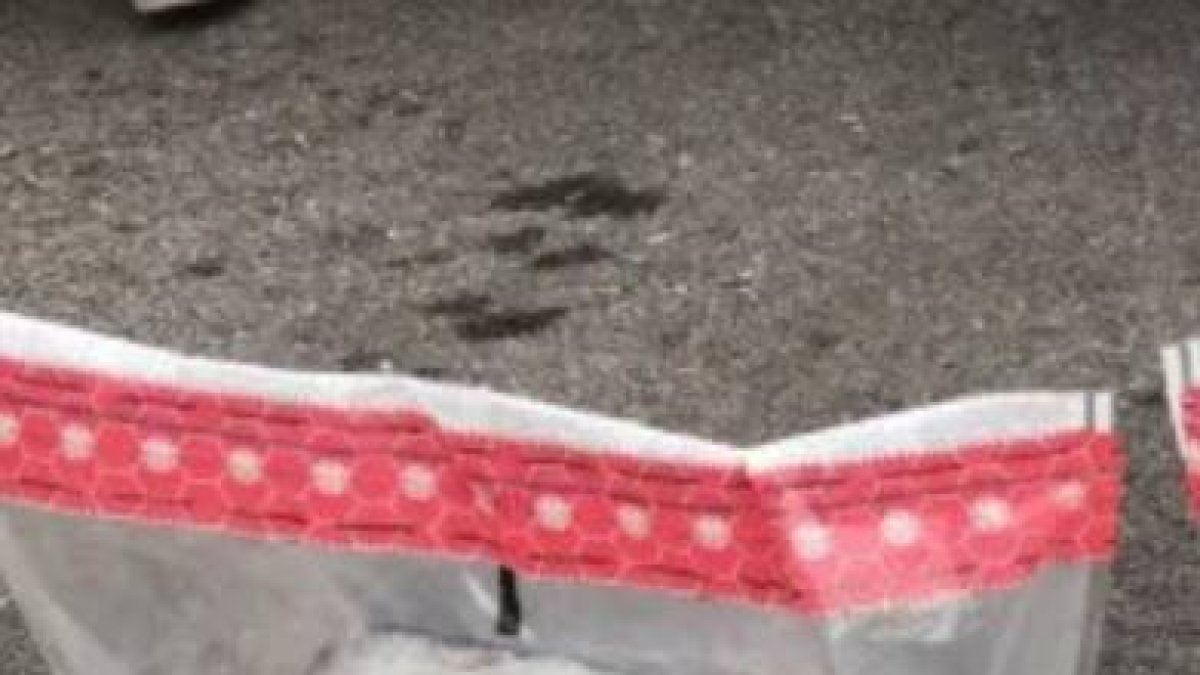 Forenses analizan droga.