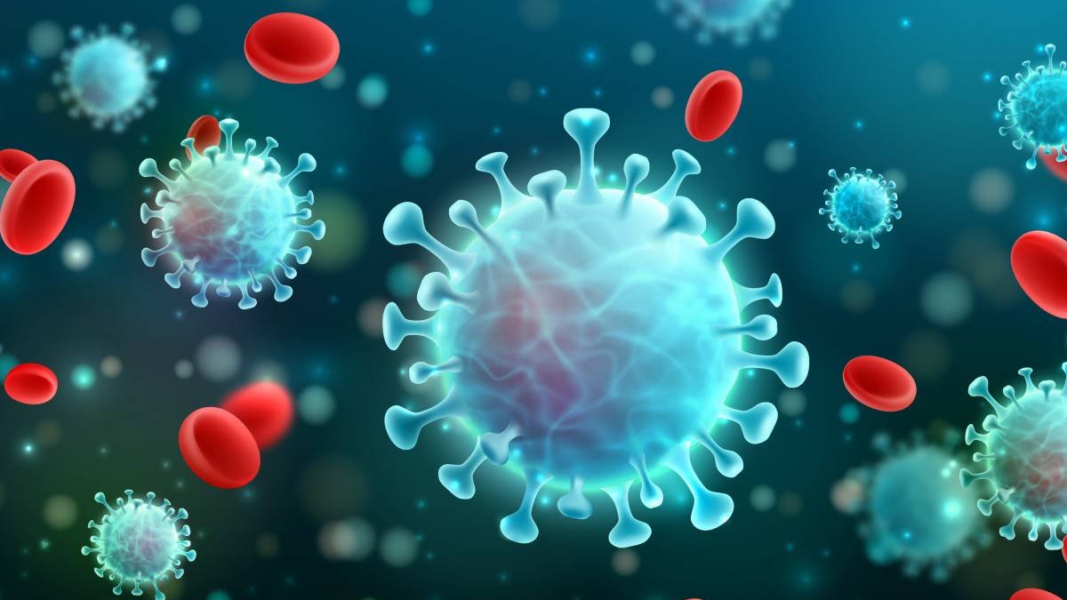 Imagen de referencia