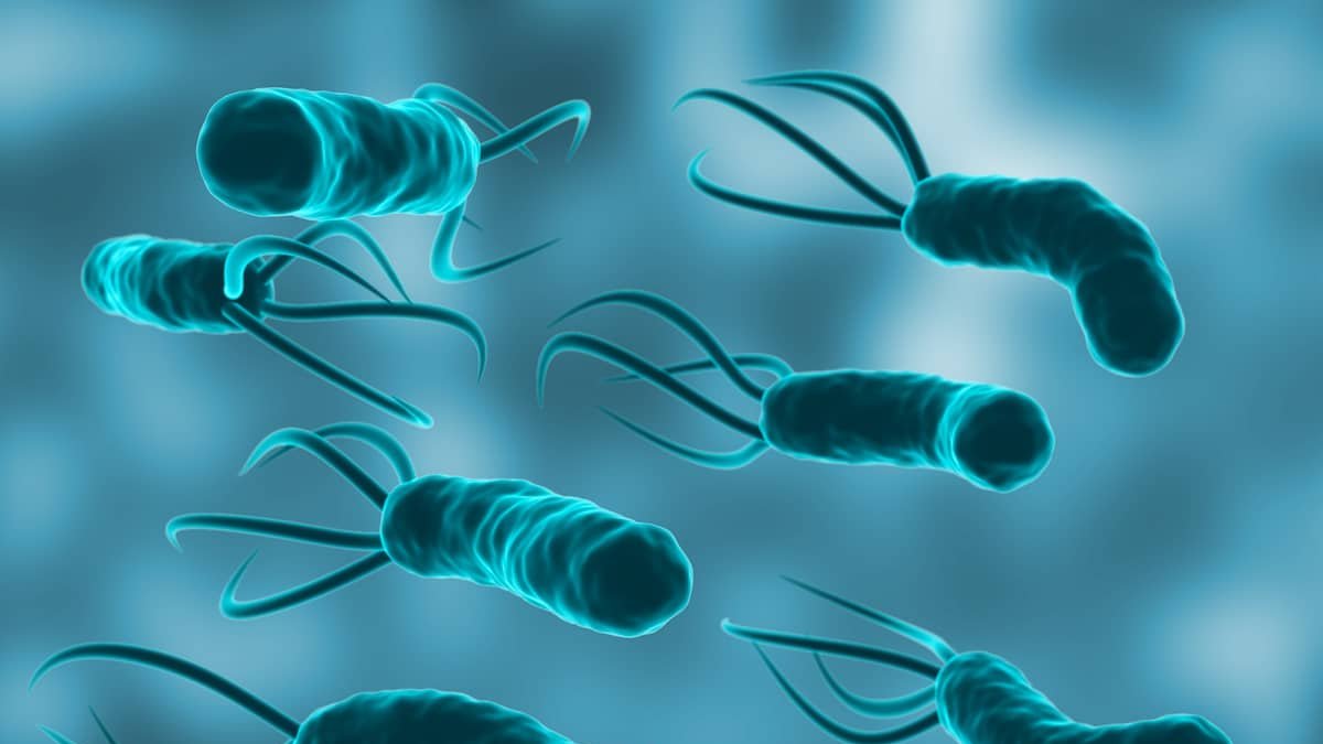 El 12 % de los cánceres en 2024 estuvo vinculado a infecciones como H. pylori y VPH