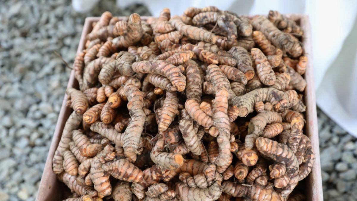 Destacan cúrcuma, vainilla, cardamomo, nogal, guayaba fresa, pimienta, malagueta, clavo dulce, nuez moscada