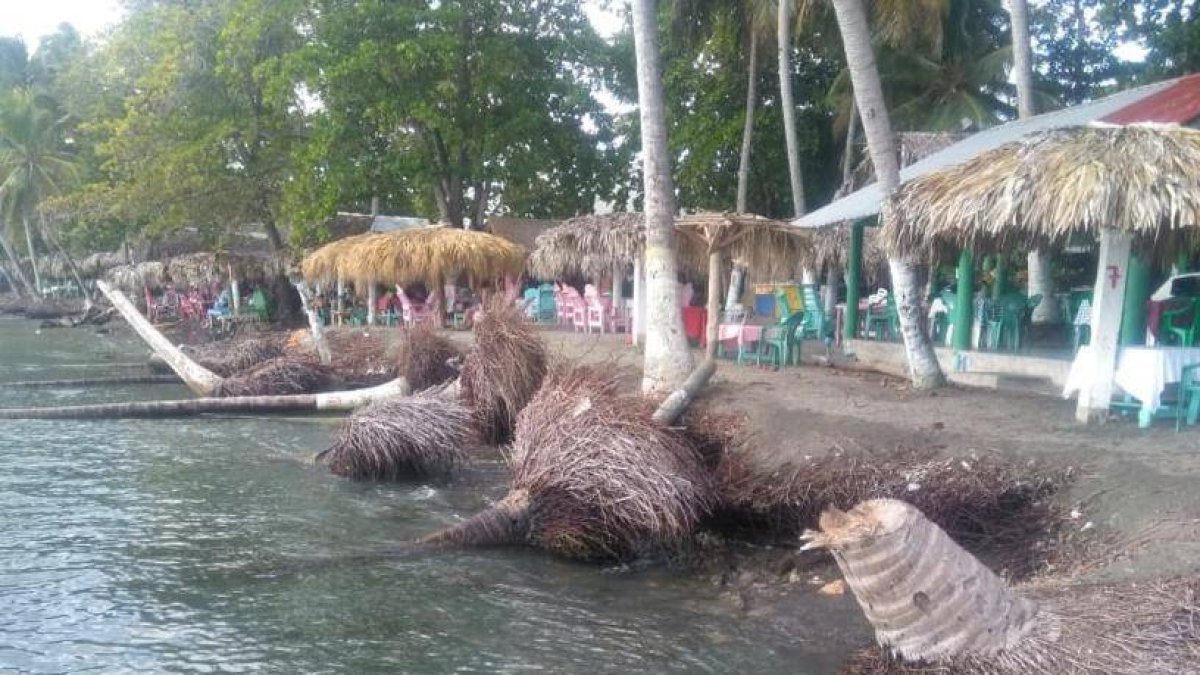 8_El País_04_4j,p01