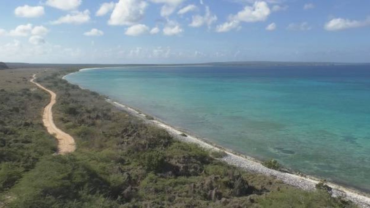 Vía Bahía de Las Águilas.