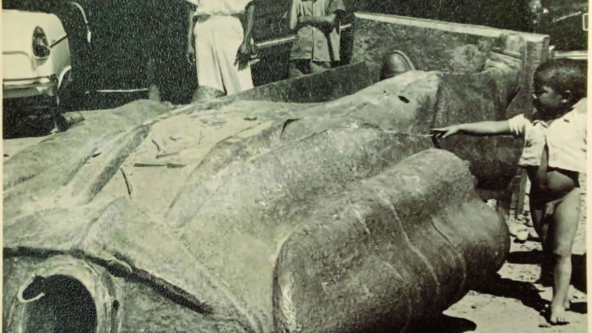 “1961: El año de la libertad” nació como un proyecto pedagógico que aprovecha el número redondo de los 60 años para contar la dictadura, sus orígenes y su caída a partir de una exposición itinerante y una serie de herramientas didácticas.