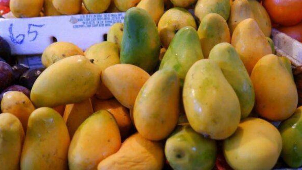 Ya se contrataron dos especialistas en exportaciones