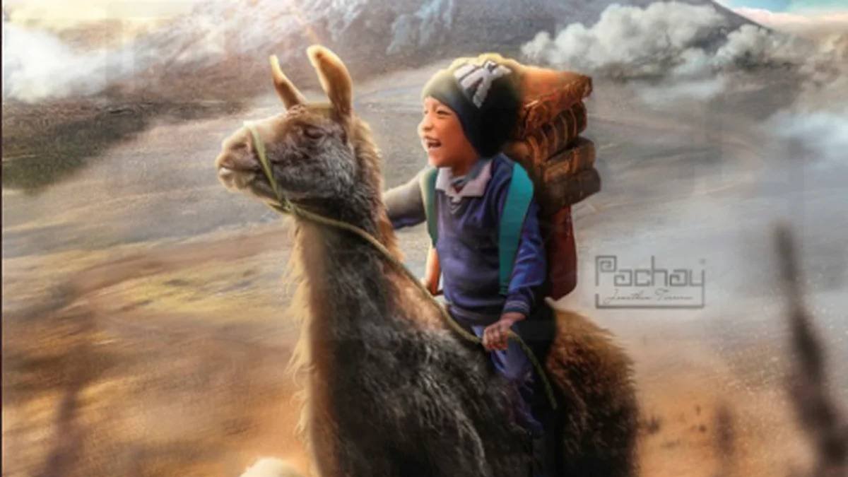 Un niño llamado Jhoel llega todos los días a su escuela montando en su llama Benjamín, en la provincia de Cotopaxi.