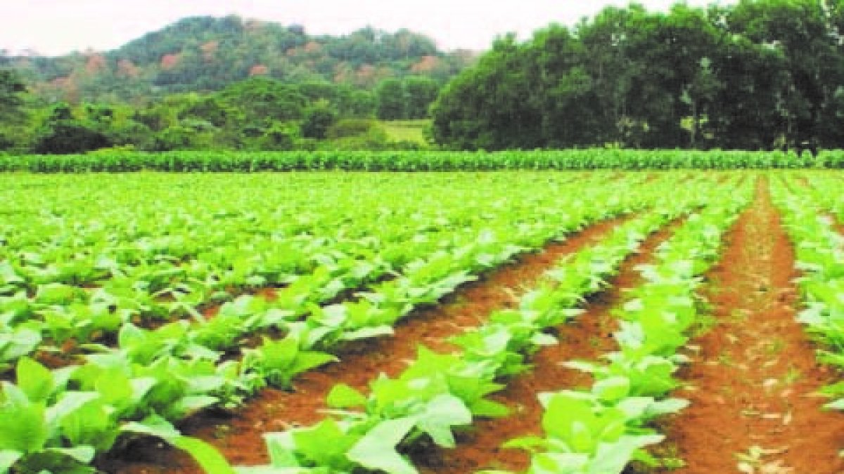 02_06_2022 HOY_JUEVES_020622_ Economía13