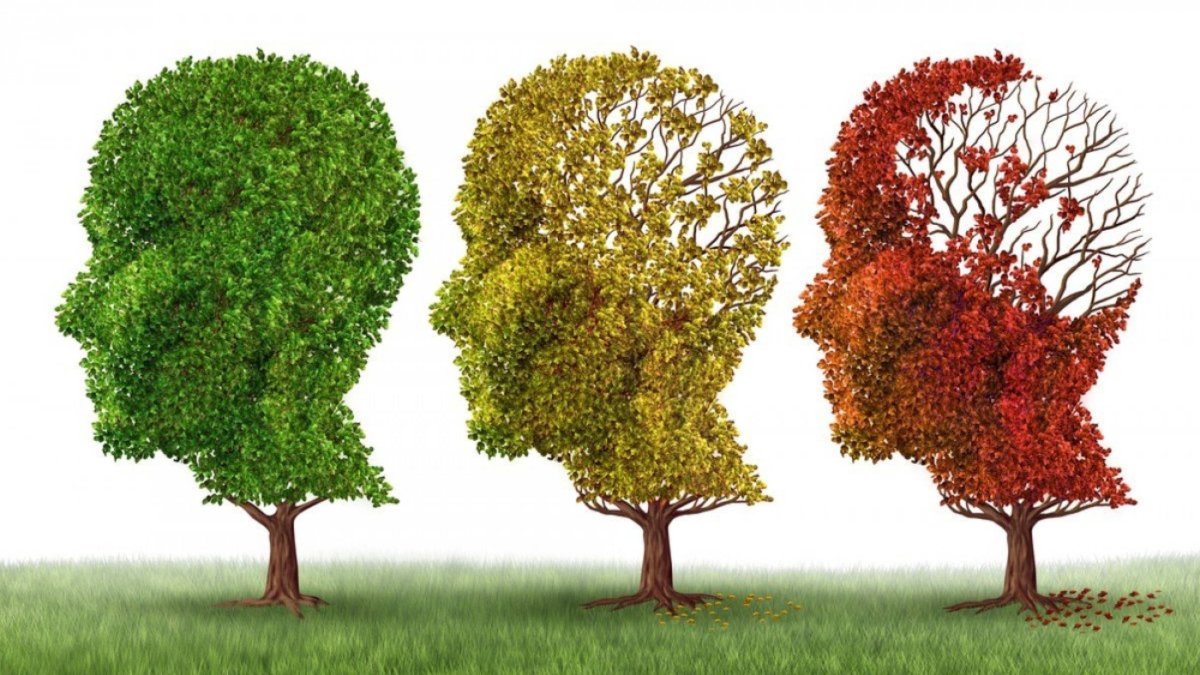 La demencia, ligada a enfermedades como el alzhéimer, suele aparecer a partir de los 60 años, aunque puede ocurrir a edades más tempranas.
fuente externa