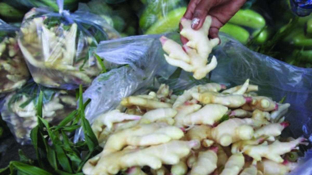 Jengibre, un tubérculo raro con éxito en botica y en la cocina