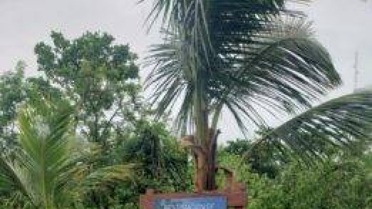 Turismo responsable, parte del funcionamiento diario de los hoteles de Iberostar