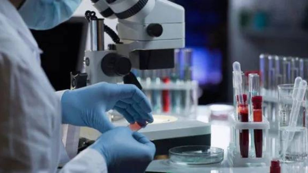 Hallan extracto vegetal efectivo contra covid-19