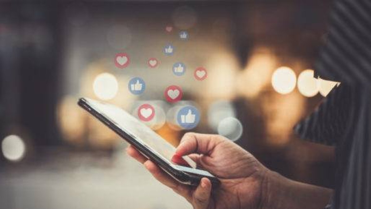 Imagen de referencia.