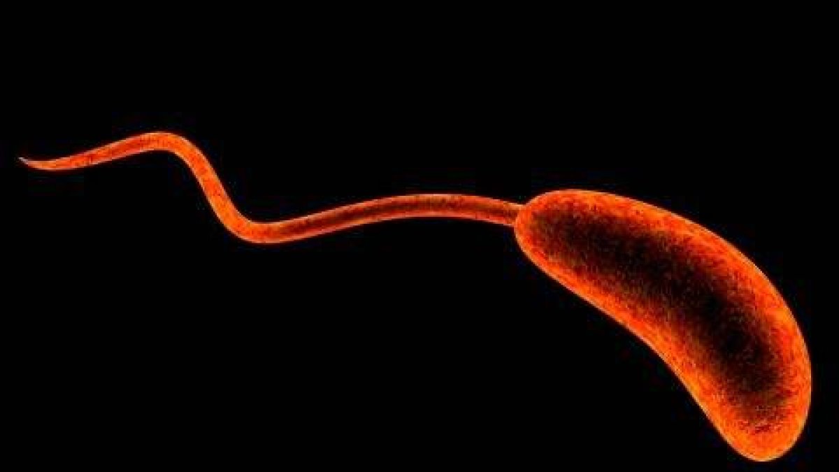 WhatsApp Image 2022-12-06 at 8.17.10 PM