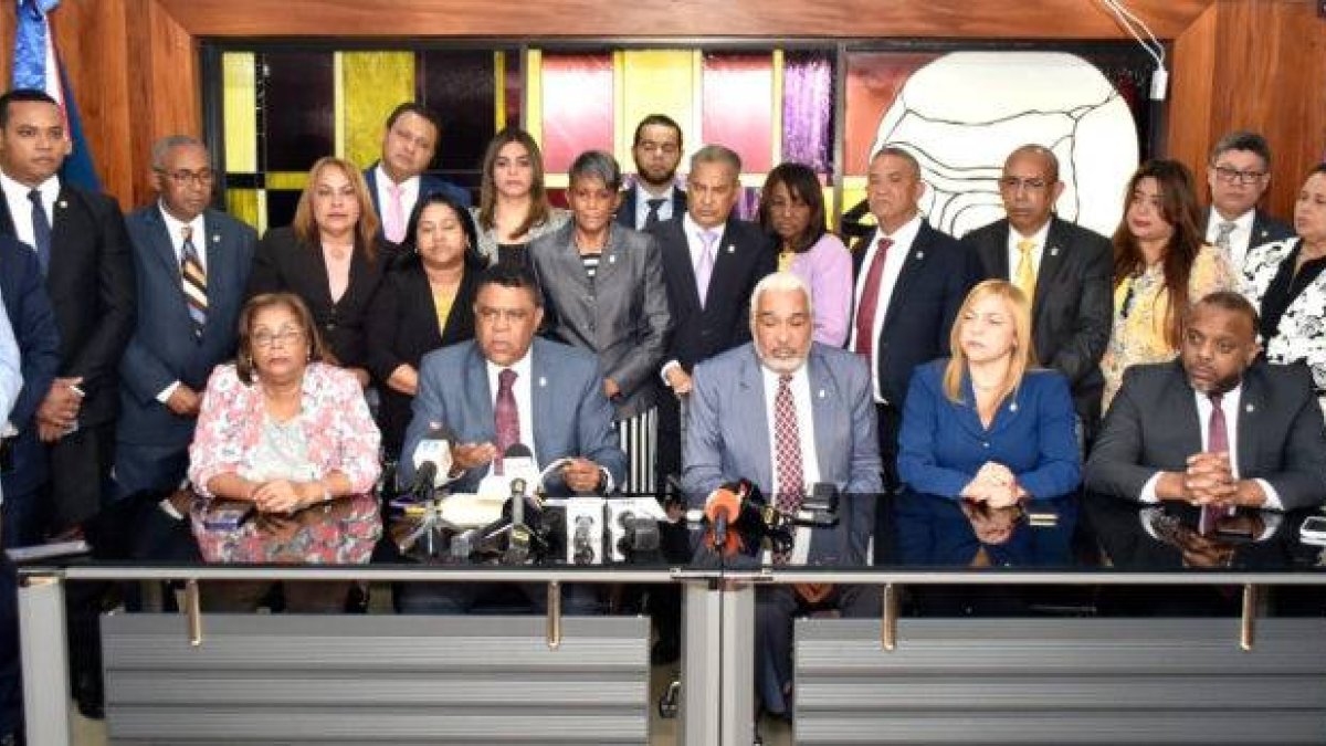 Diputados del PLD advierten sobre aprobación proyecto Fideicomiso Público viola la Constitución.