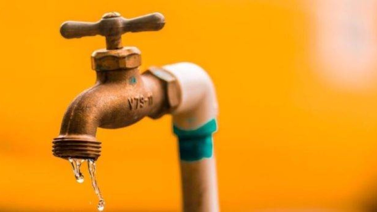 WhatsApp Image 2023-03-03 at 6.36.51 PM