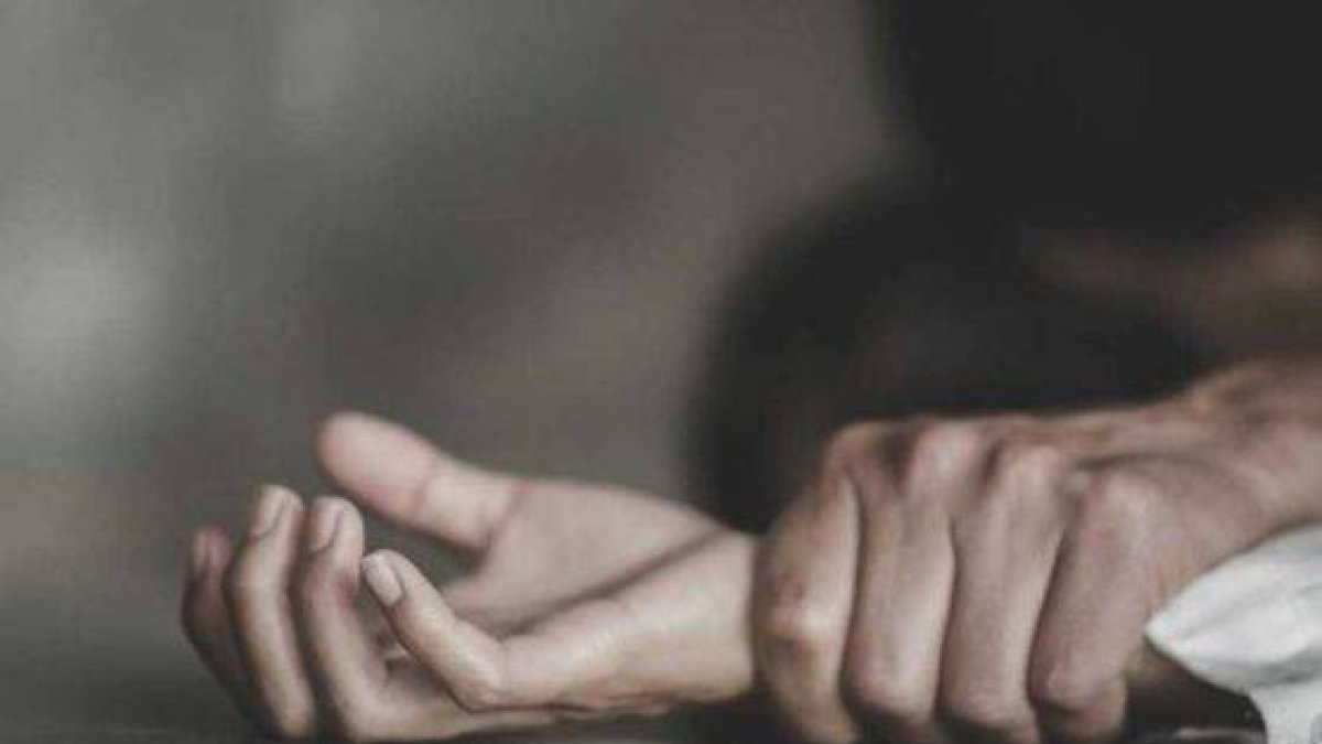 Imagen de referencia.