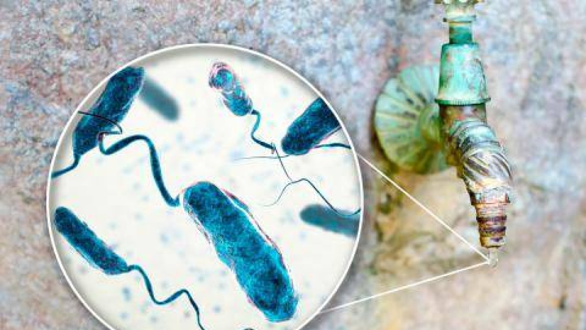 Cólera: cifra de contagiados en RD sube a 12