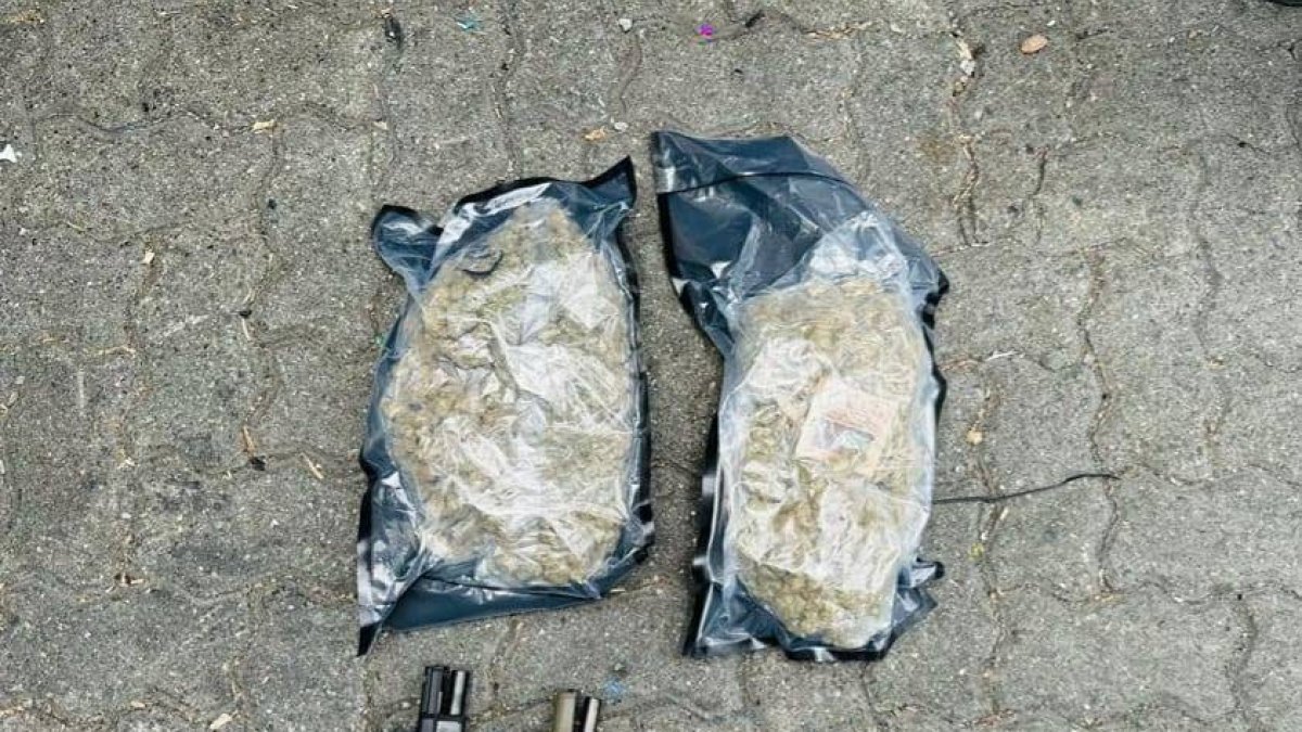 WhatsApp Image 2023-07-22 at 10.45.57 AM