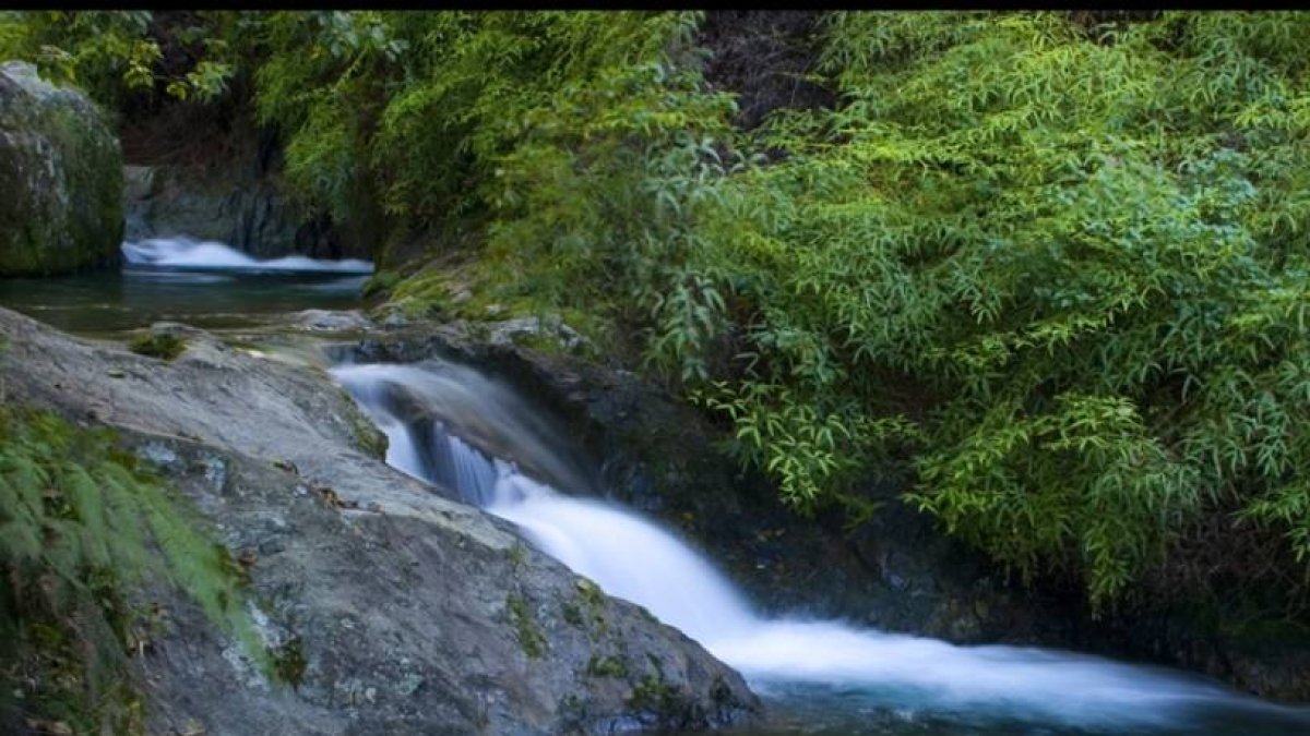 27_¡Vivir!_20_1,p08