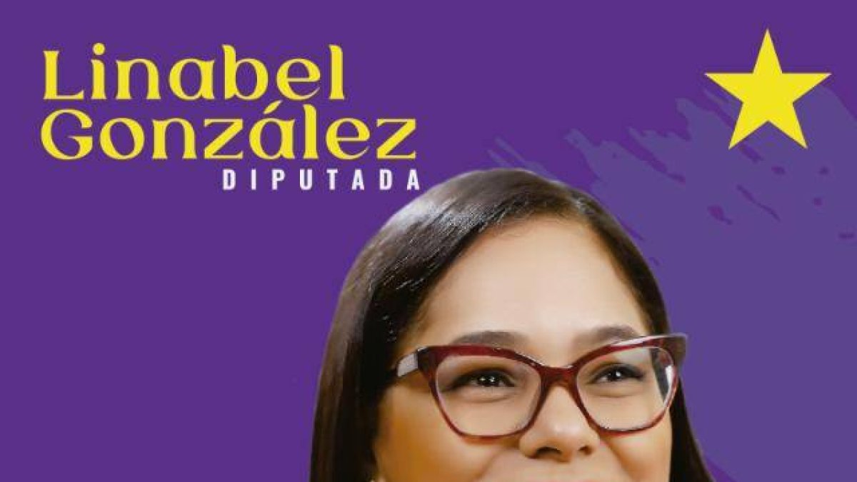 Linabel González: “Desde Cámara de Diputados trabajaré junto a otros ...