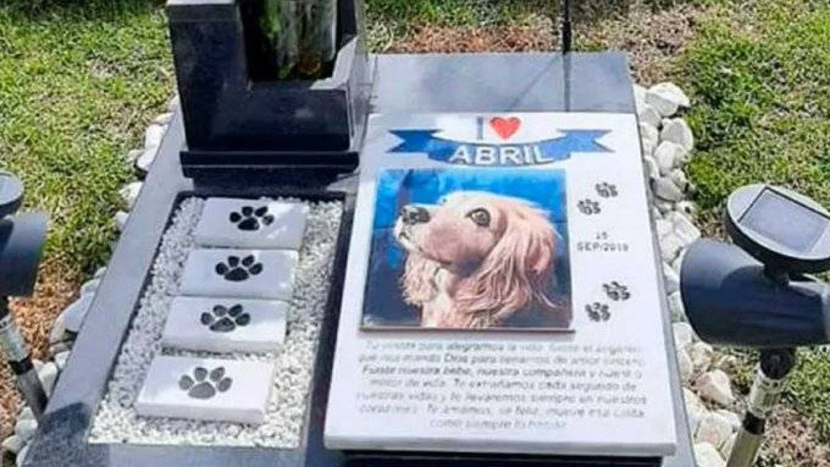 Funeral para perros y gatos (Fuente externa)