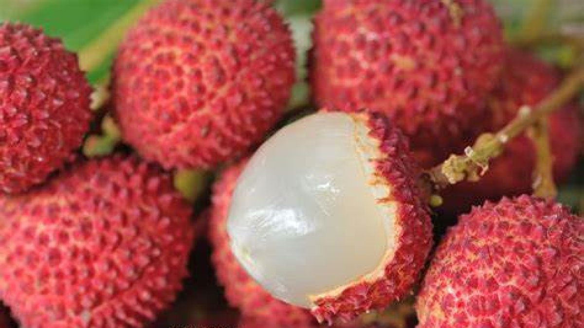 OIP – 2023-08-03T175455.016