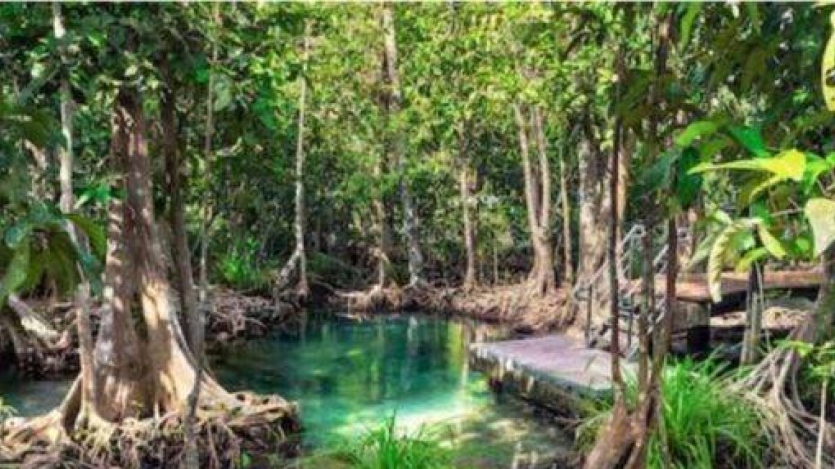 Parque Nacional Los Haitises, fuente Externa.