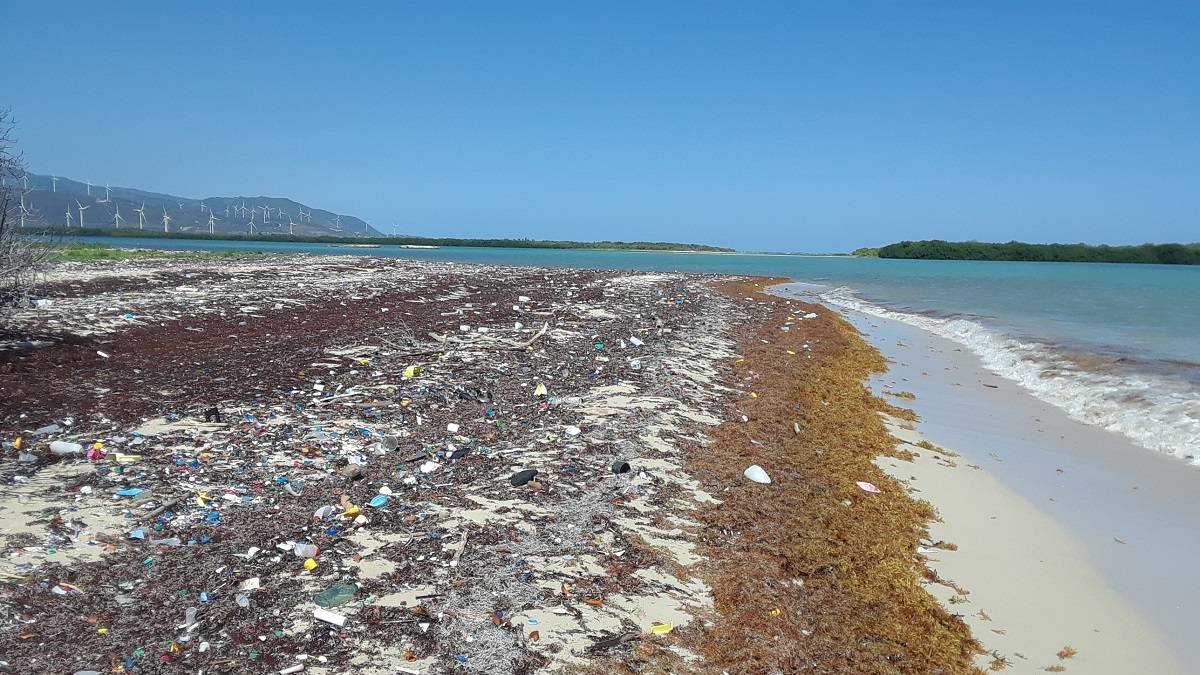 Sargazo en las playas de República Dominicana