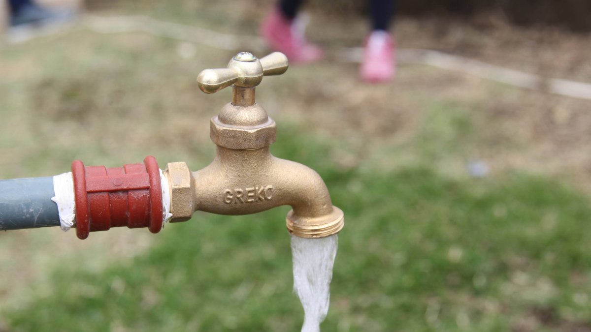 Imagen de referencia/ fuente externa