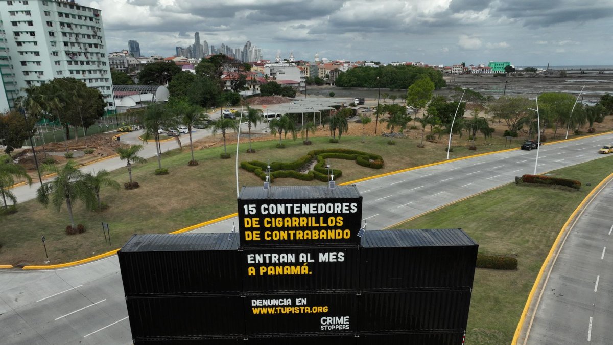 WhatsApp Image 2024-02-03 at 2.47.08 PM