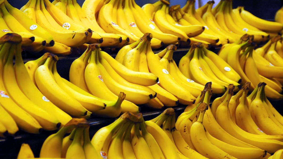 Las exportaciones de banano han registrado una caída que supera el 50%.