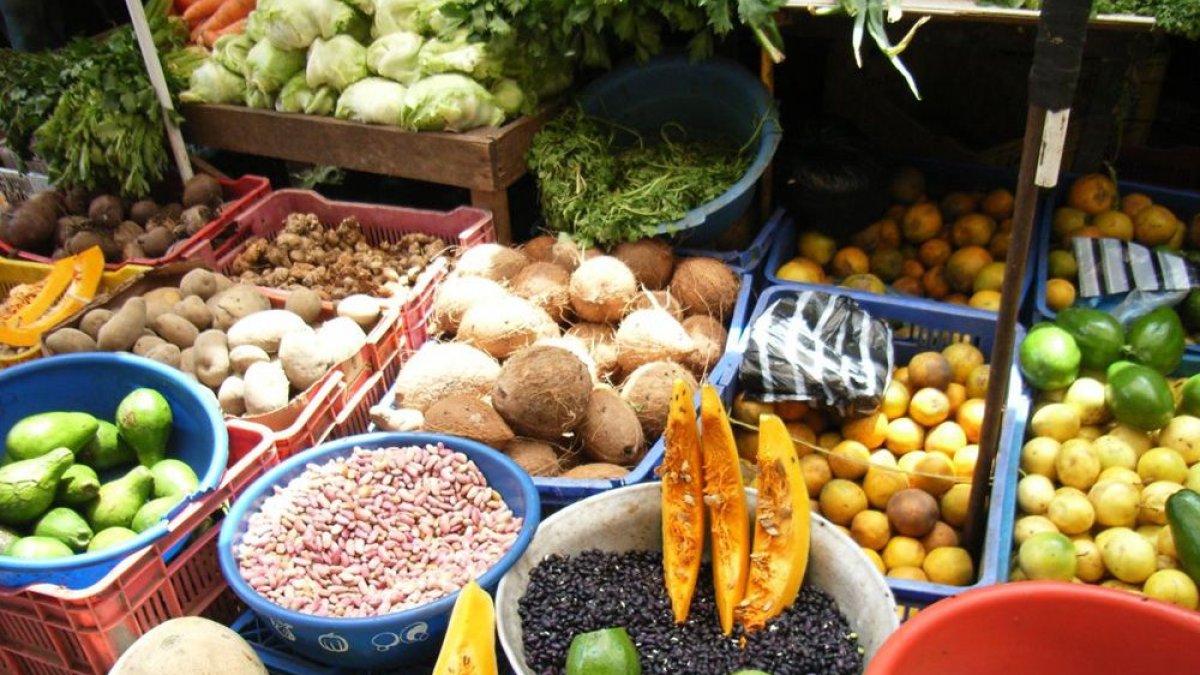 8-canasta-familiar-4