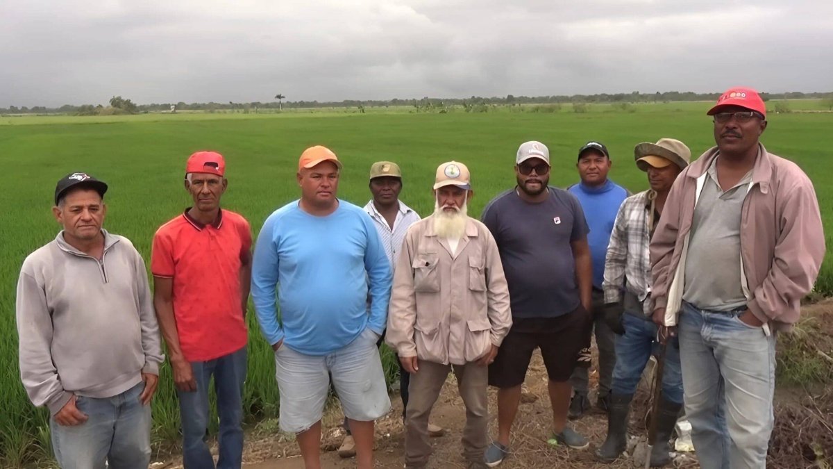 WhatsApp Image 2024-03-31 at 2.21.01 PM