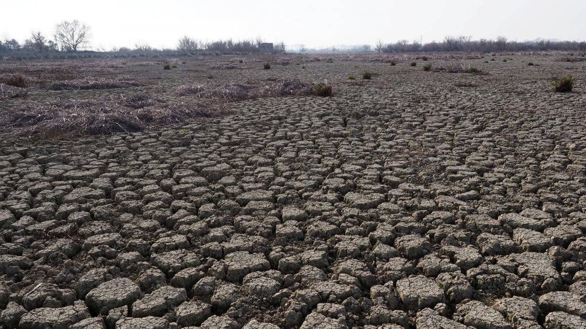 Temen grandes sequías.