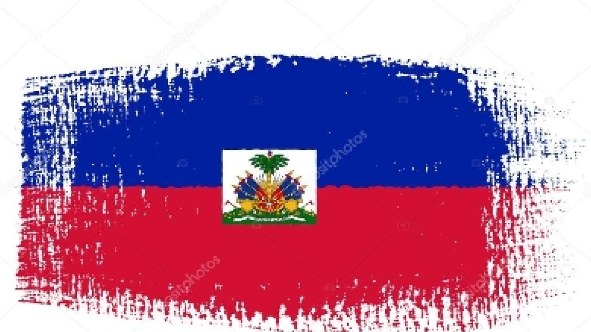 Dan perfiles de los miembros Consejo Transición en Haití