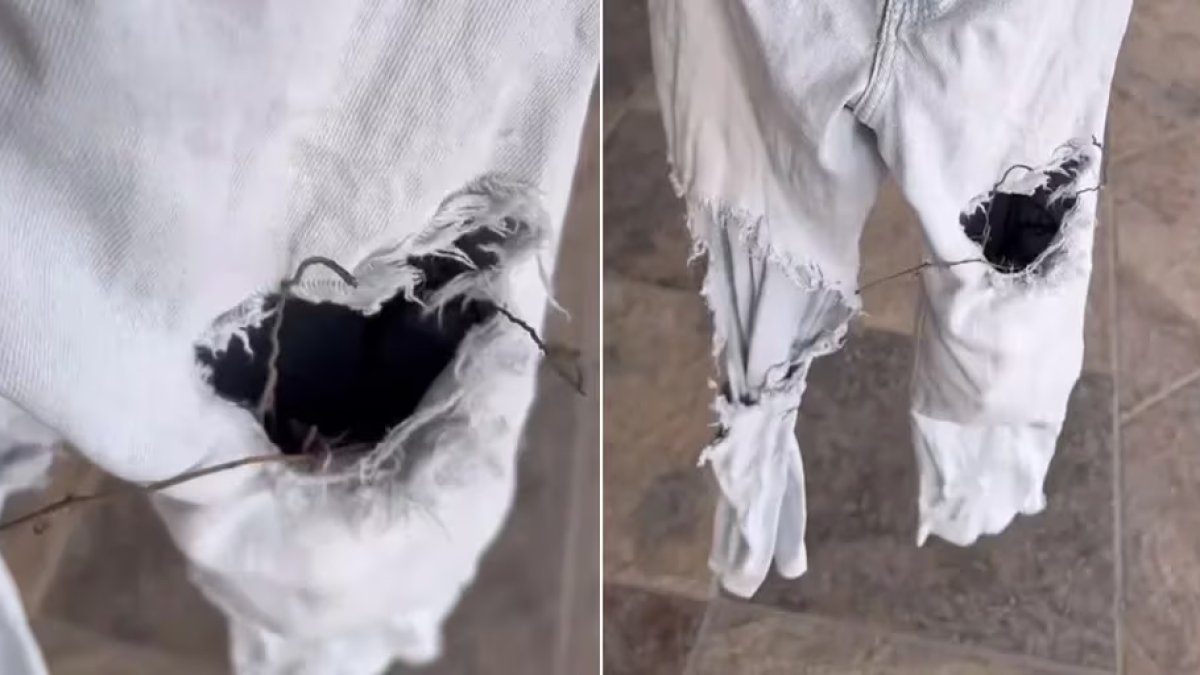 Dejó la prenda secándose al aire libre y el video se viralizó (TikTok: @m4rij4ne)