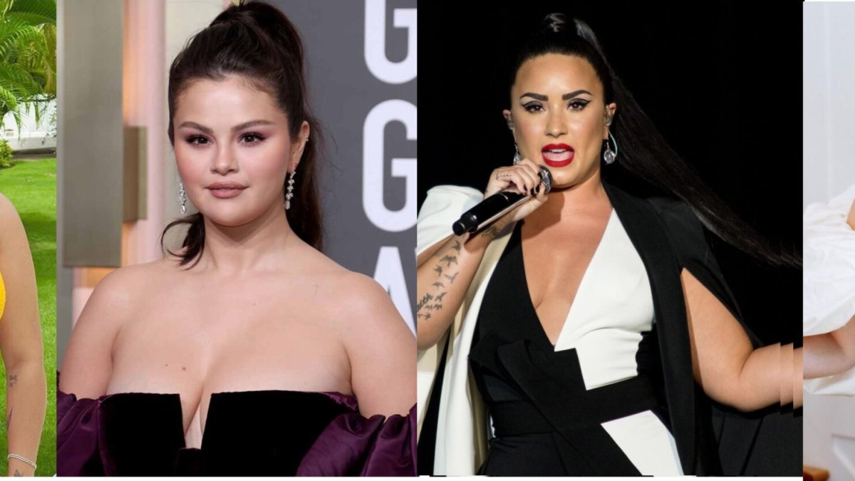 ¡De La Ross a Adele! Celebridades que han tenido que luchar contra las críticas a su imagen