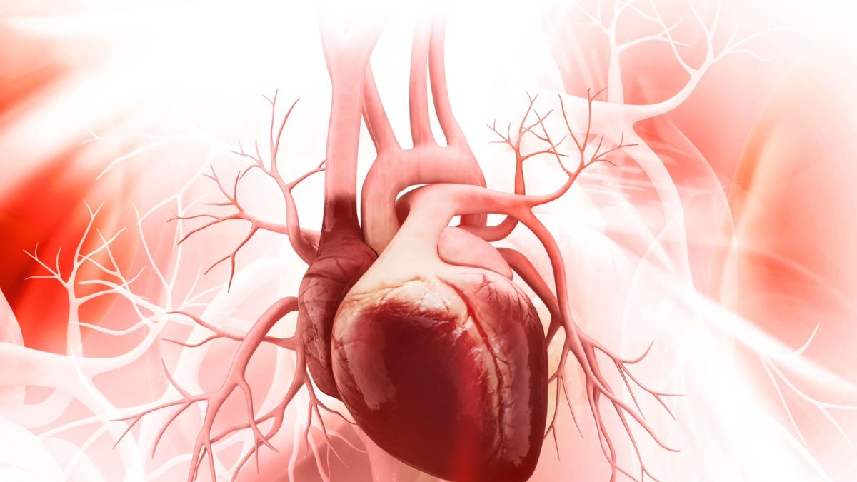 WhatsApp Image 2024-05-08 at 6.22.39 PM