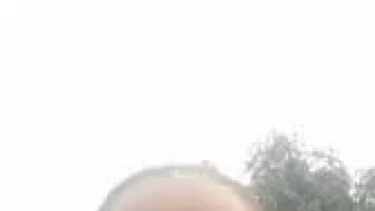 download-10.jpeg