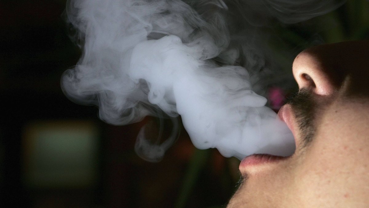 Imagen de referencia