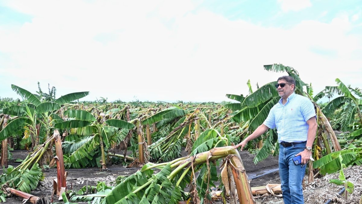 4_El País_25_1A,p01