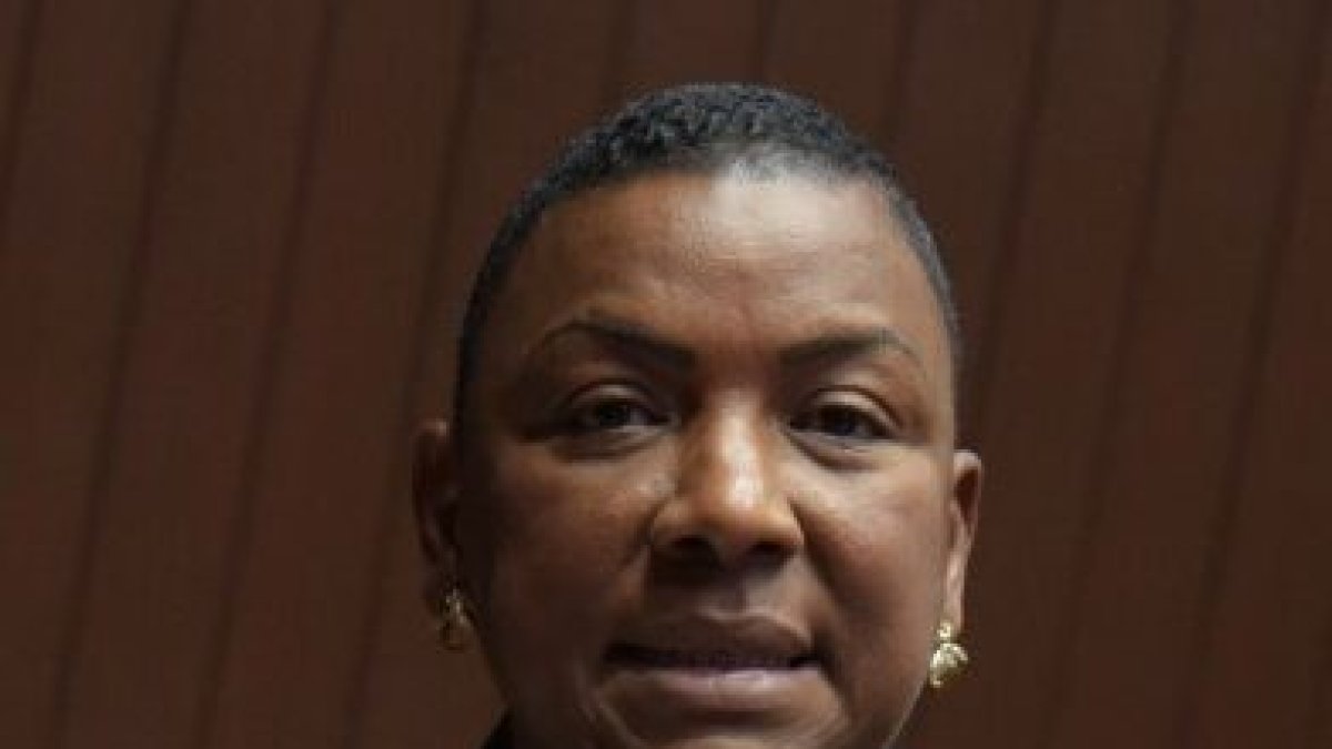 Diputada Aide López Reyna