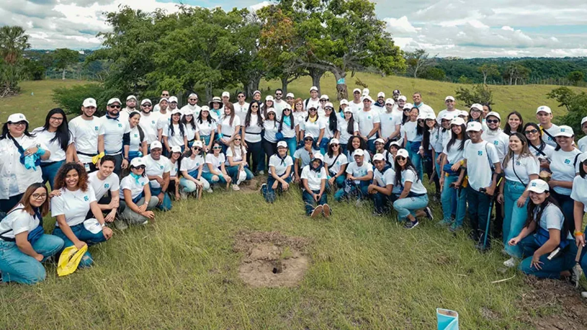 Voluntarios