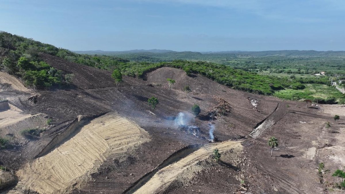La foto muestra la manera de cómo quedó devastada una montaña completa en la comunidad de Las Canas, en Villa Vásquez, próximo a la Playa Buen Hombre, a pocos metros del destacamento de la Armada Dominicana, en la zona. Foto Rafael Santos.