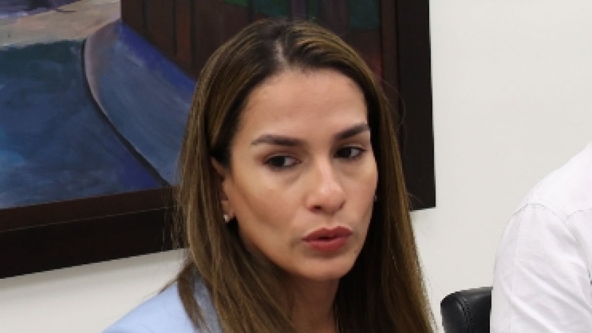 Ysabel Vargas, Fernando Taveras y David Lapaix participan como invitados en el Encuentro Económico de HOY.