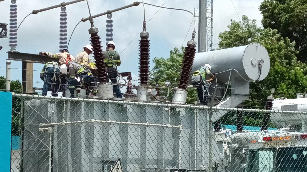 WhatsApp Image 2024-08-08 at 12.14.41 PM