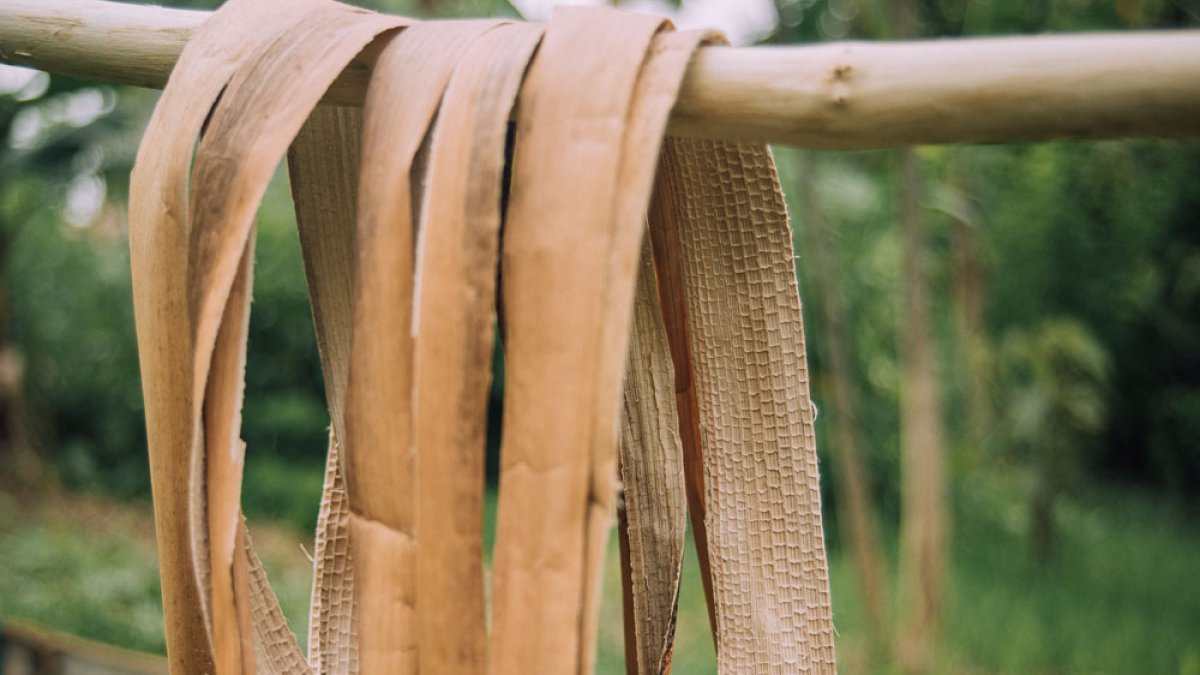 La fibra de tallos de plátano ayuda la sostenibilidad.