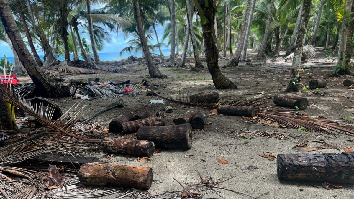 Las casetas, dice el Ministerio, fueron construidas en la franja protegida de 60 metros