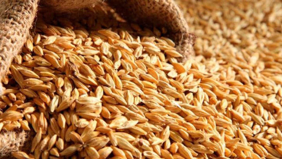 Imagen de referencia. Fuente externa.