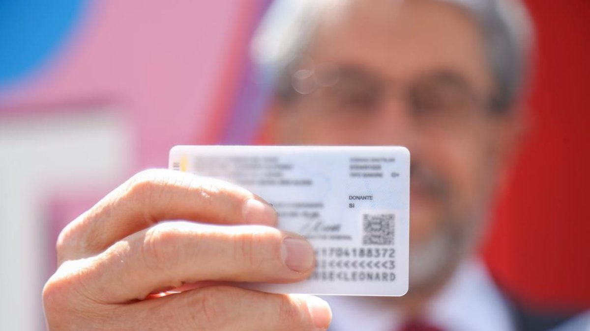 Imagen de referencia.