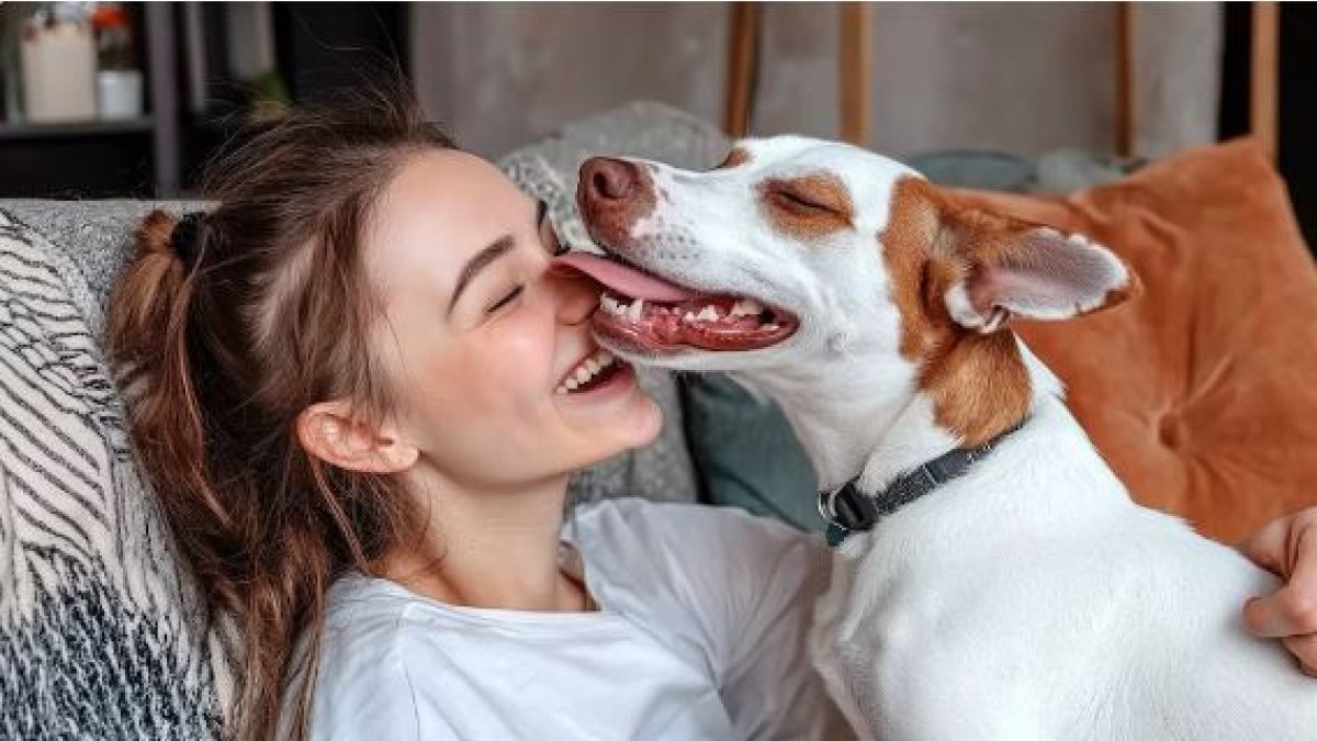 Por qué los perros lamen a los humanos